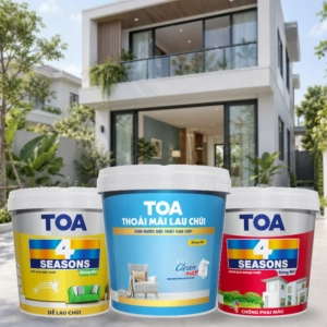 son-toa-avt