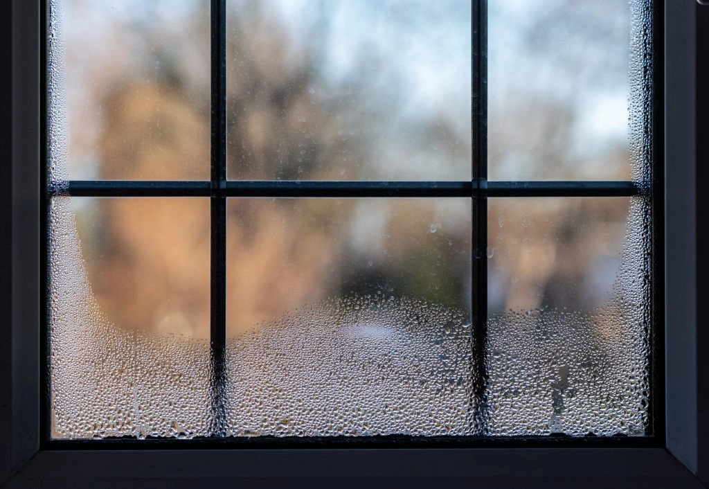 condensation-1-1024x706