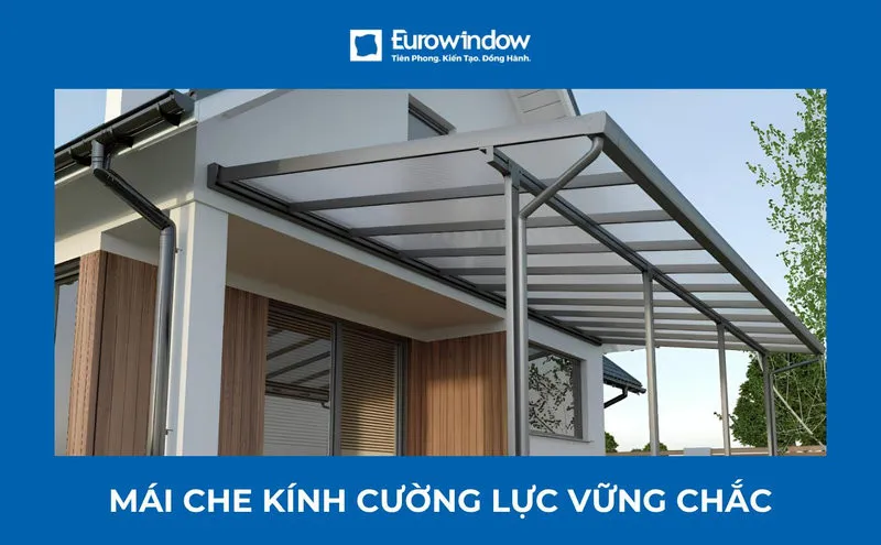 mai-che-kinh-cuong-luc-1