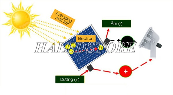 Sử dụng năng lượng mặt trời, lắp đặt được ở mọi vị trí 