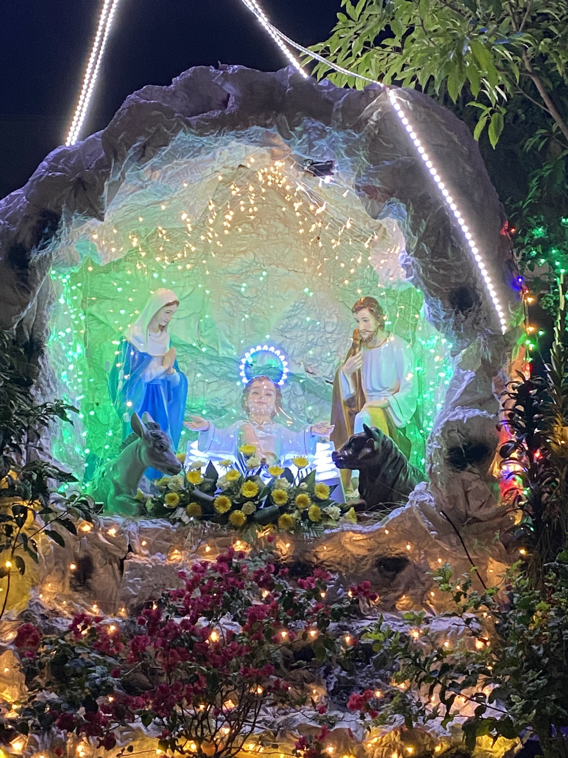 noel-1