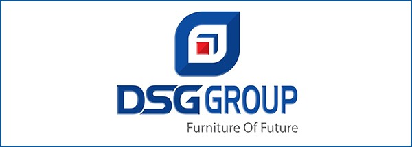 dsg-2