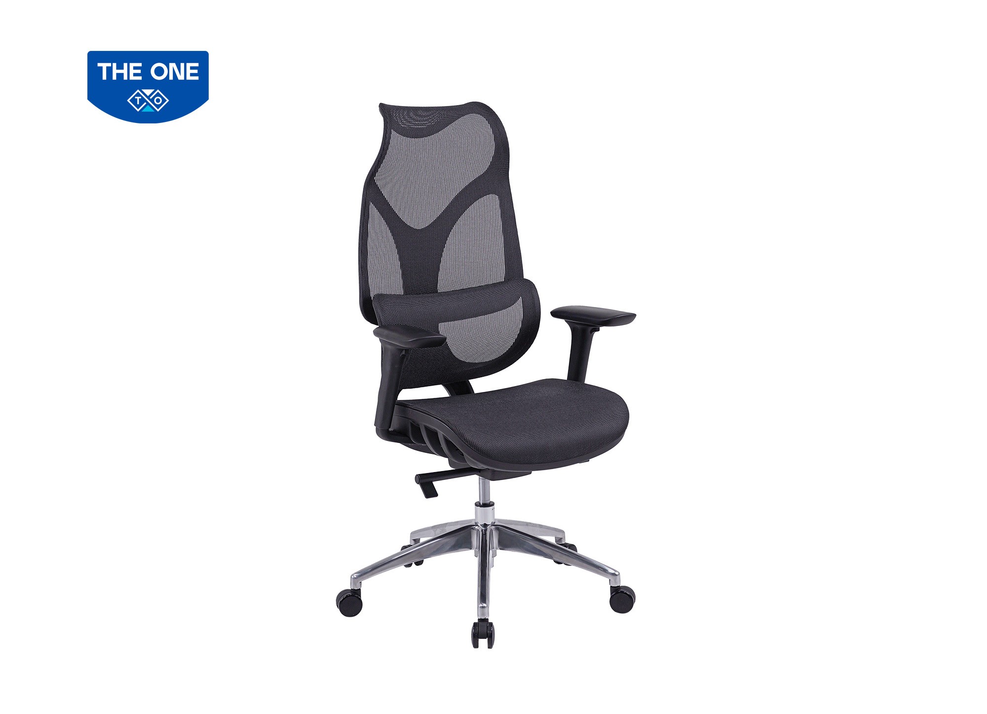 GHẾ CÔNG THÁI HỌC