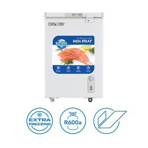 Tủ đông mini Hòa Phát HPF AN6107 107 lít