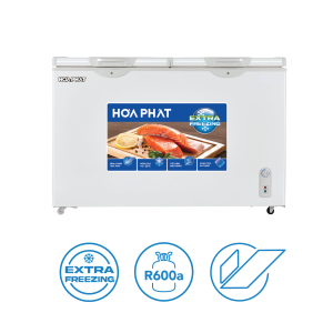 Tủ đông Hòa Phát HPF BN6271 271 lít