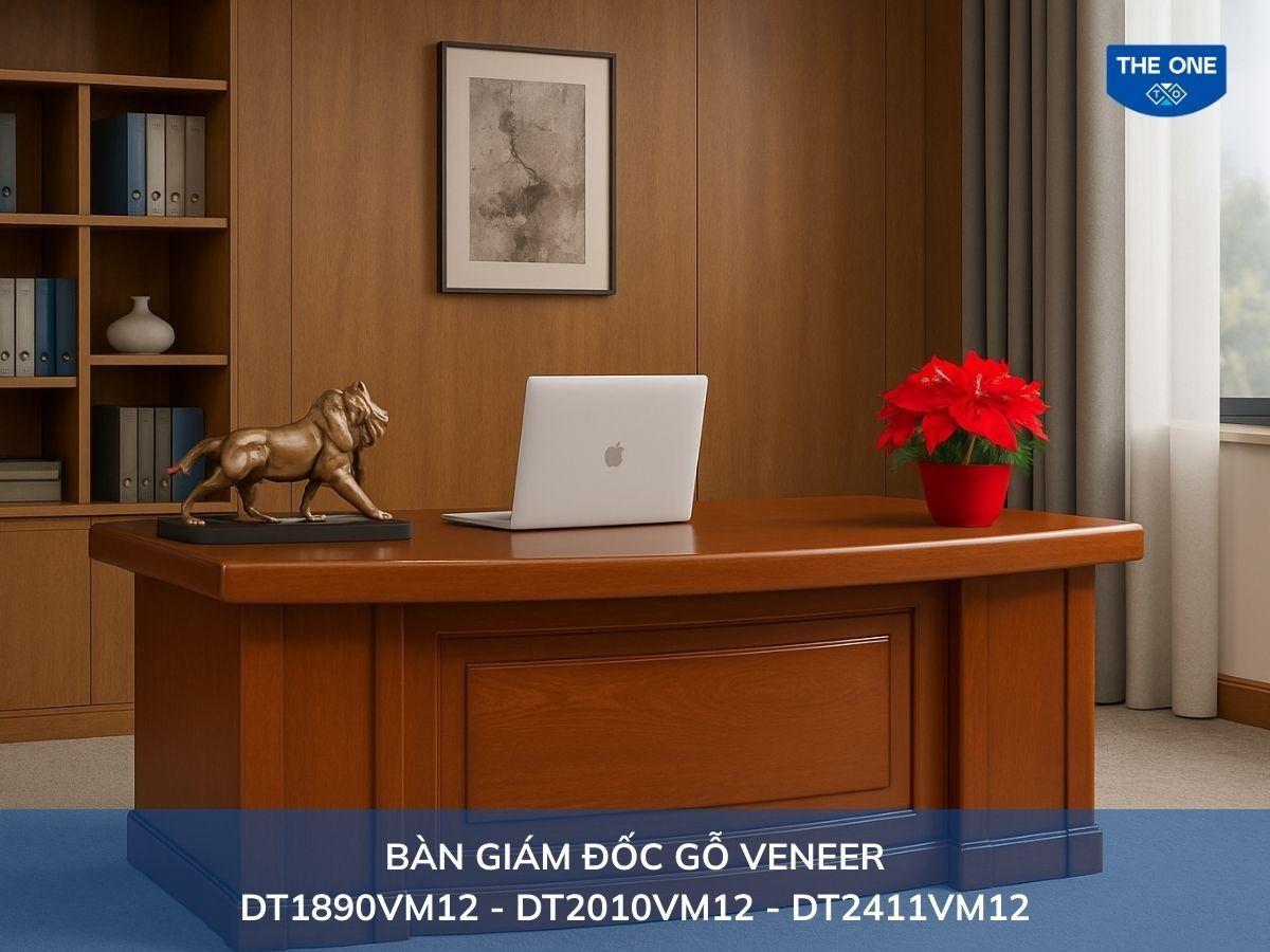 menh-thuy-hop-cay-gi-de-ban-lam-viec-12-cay-trang-nguyen-12