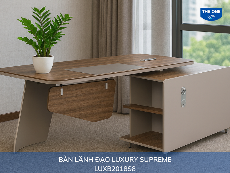 Cây kim tiền giúp người tuổi Quý Hợi thu hút tài lộc, may mắn.