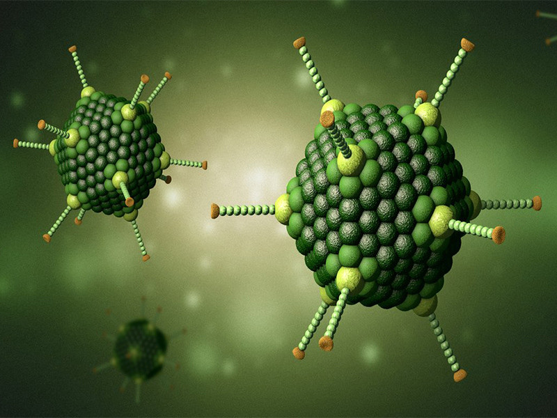 Adenovirus gây bệnh gì
