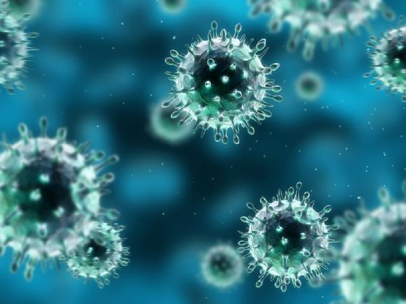 Adenovirus gây bệnh gì