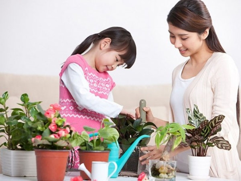 cách nuôi dạy con của người Nhật