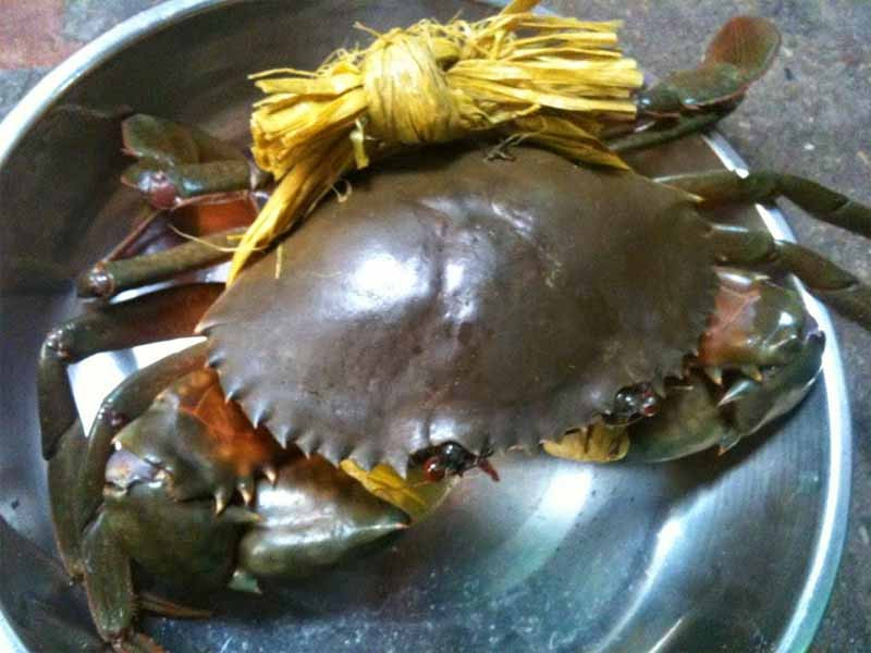 cách làm ruốc cho bé ăn dặm