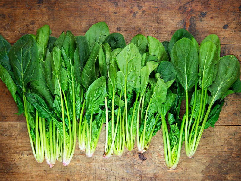 thực phẩm chứa nhiều sắt