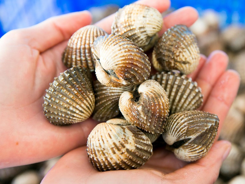 thực phẩm chứa nhiều sắt