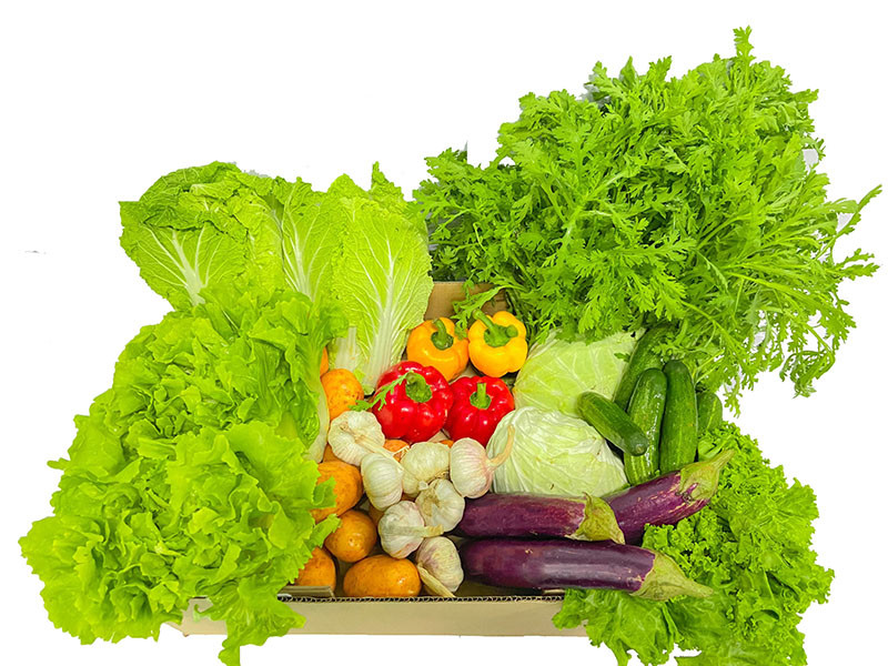 rối loạn tiêu hóa ở trẻ