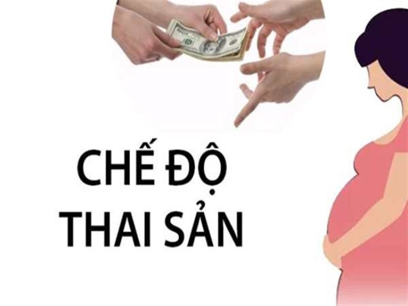 Quy Định Chế Độ Thai Sản - Cách Tính Bảo Hiểm Thai Sản Mới Nhất
