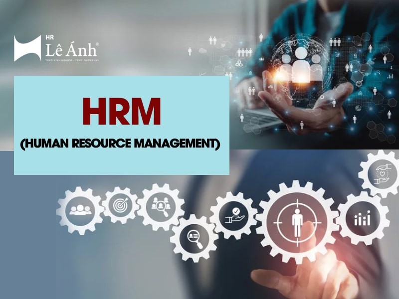 HRM (Human Resource Management) Là Gì? - Lê Ánh HR