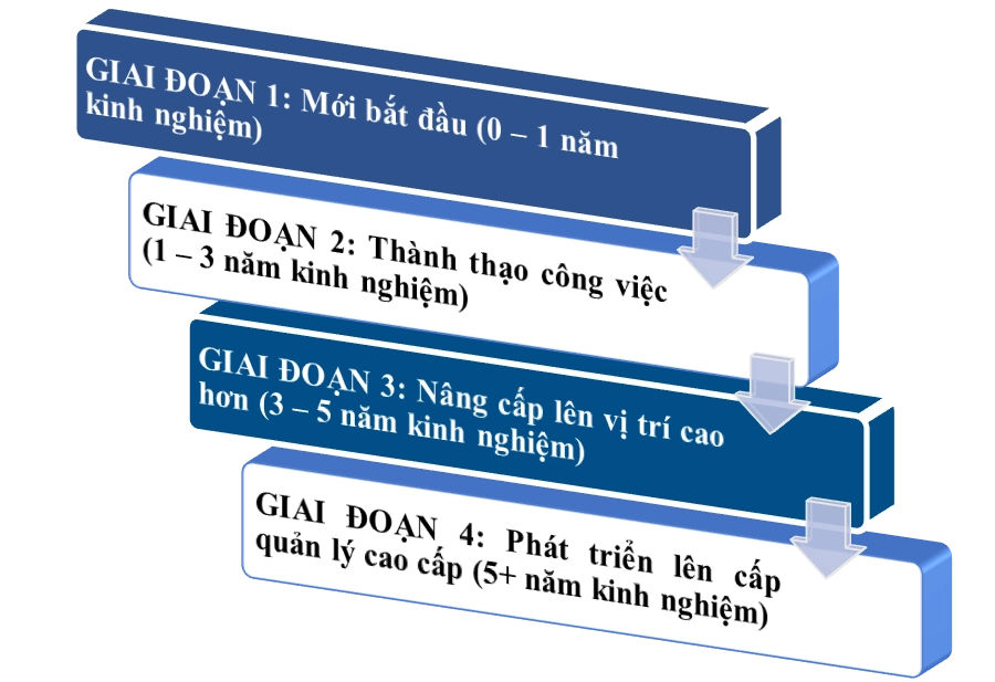 Lộ trình học tập và phát triển trong nghề hành chính nhân sự