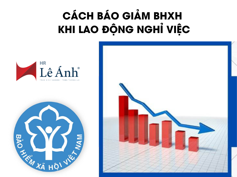 Cách Báo Giảm BHXH Khi Lao Động Nghỉ Việc