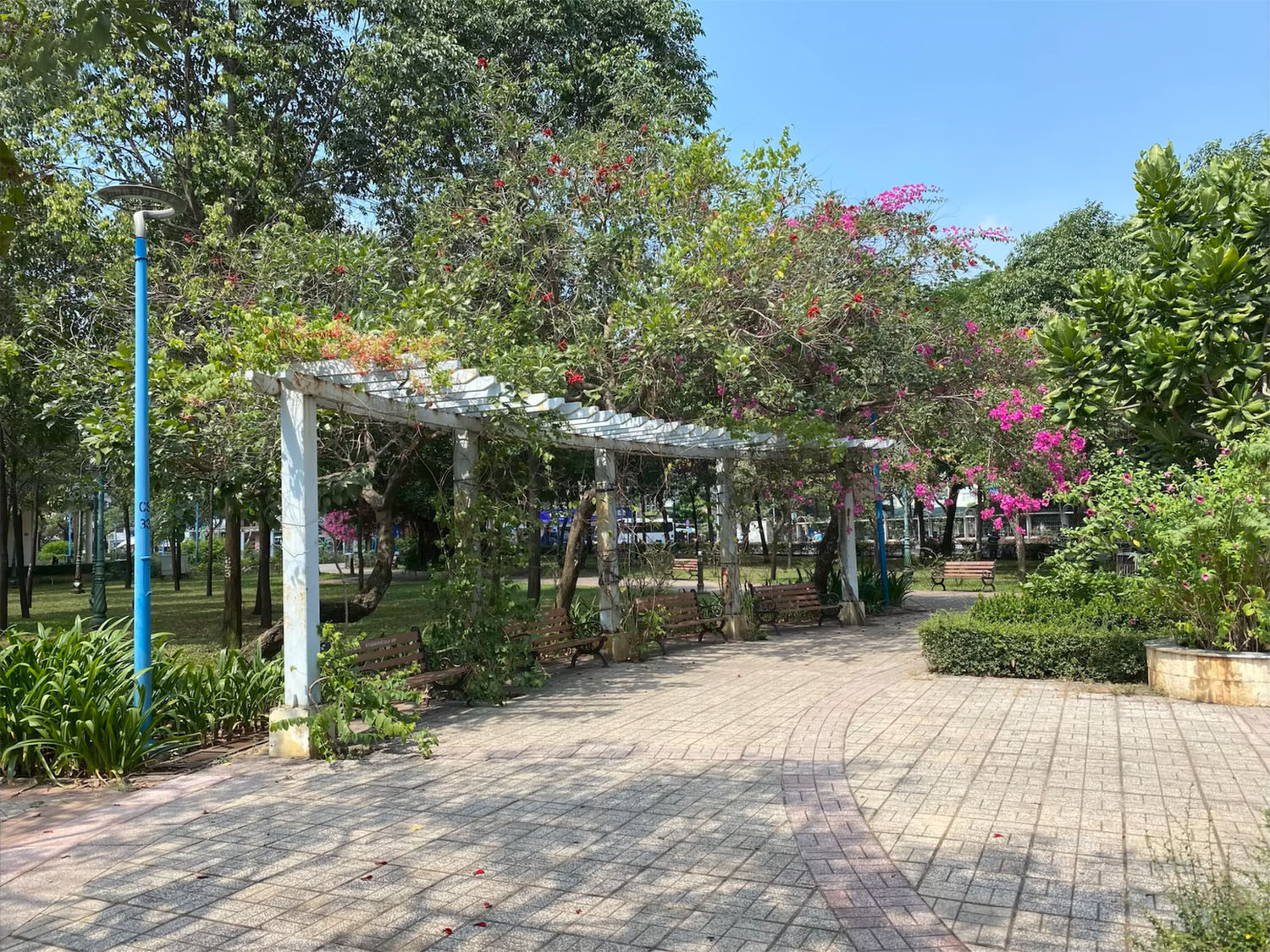 iphone-11-pro-cu-kieu-moi-anh-chup-02