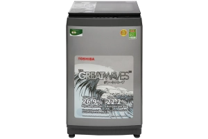 toshiba-aw-k905dv-sg-1-org