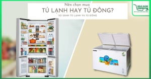 so-sanh-tu-lanh-va-tu-dong-nen-chon-mua-tu-dong-hay-tu-lanh_bbac776a09114e1c8501b2ff47f4cfbd