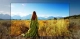 4smart-tivi-lg-4k-75-inch-75un8000ptb_44b7306cb1404060ae3f7d86131d253d_grande
