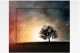 android-tivi-panasonic-4k-55-inch-55gx655-thiet-ke_29ccfef7bda14767b9deab8cd02a6366_grande