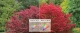 android-tivi-tcl-4k-uhd-65-inch-l65c8-cong-nghe-dai-mau-rong_2d9f62fd64644502ba9abdb651b61d6d_grande
