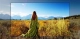 smart-tivi-lg-4k-uhd-86-inch-86un8000ptb-chat-luong_3a856de45e2d4133b28f9caa2c6cd53d_grande