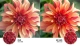 smart-tivi-samsung-55-inch-au8000-uhd4k_e91fa1ab20d5467e87bec1d371100bc7_grande