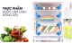 tu-lanh-funiki-2-canh-165l-fri-166isu-lanh-da-chieu_2cb8c38c237f4729a9f167ad4fc81152_grande