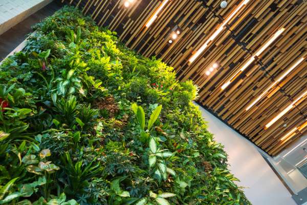 Emergence of "Green trend" in the furniture industry