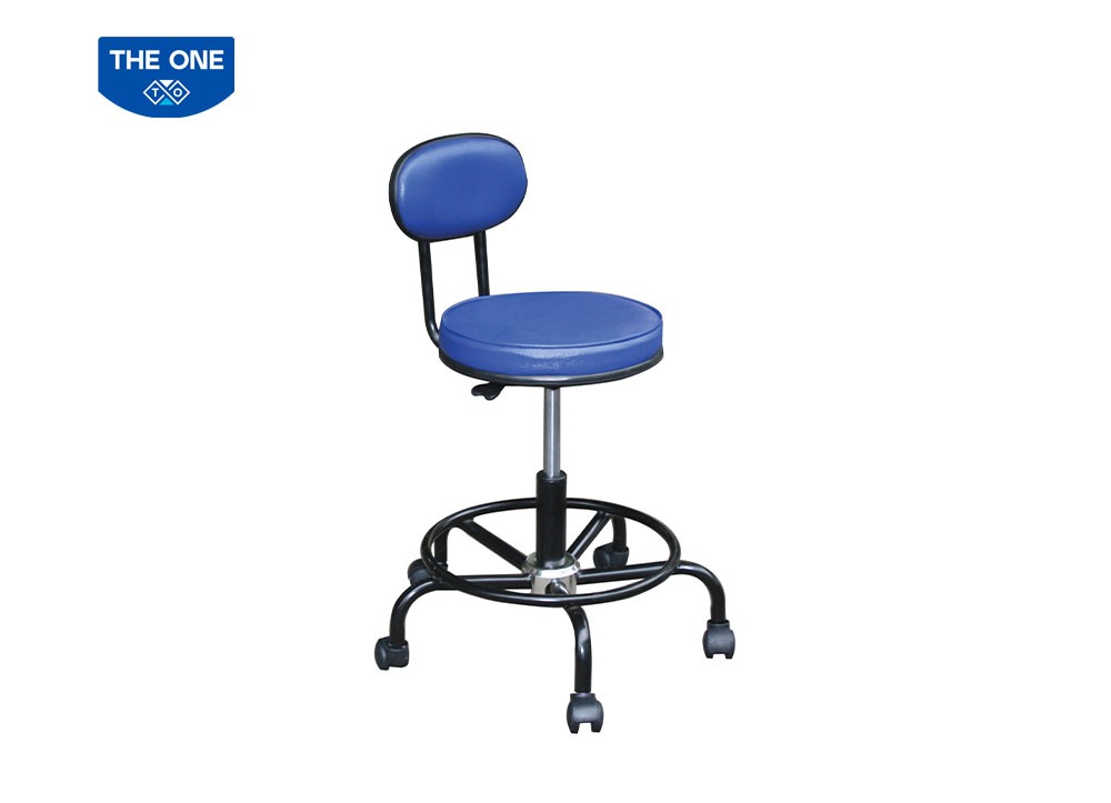 GHẾ CHỨC NĂNG THE ONE 
GCN102T - GCN102