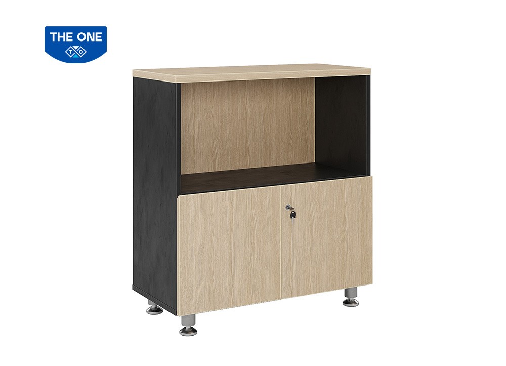 TỦ TÀI LIỆU LEADER THE ONE 
LE880SD