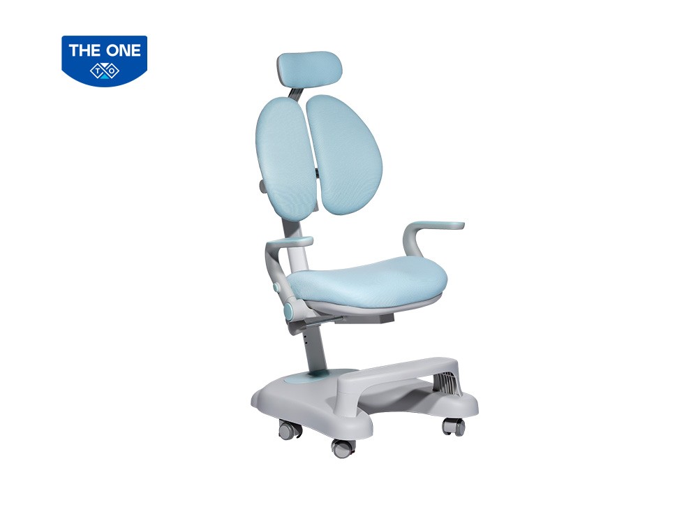 GHẾ HỌC SINH CHỐNG GÙ THE ONE 
GHS51