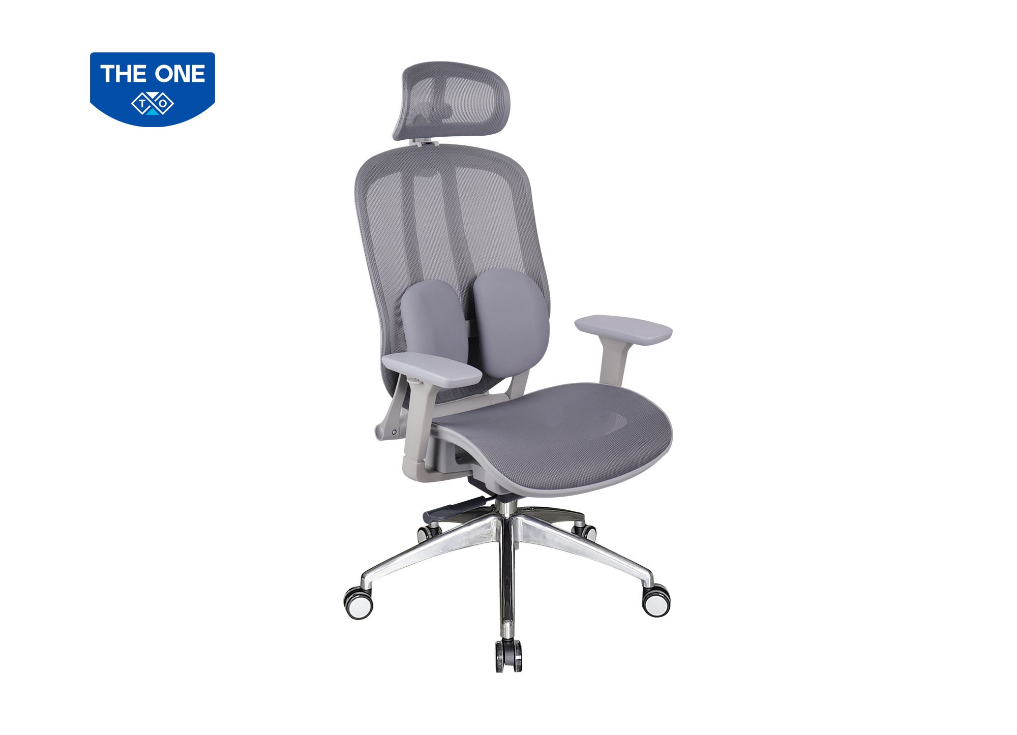 GHẾ CÔNG THÁI HỌC THE ONE 
GLE04-1