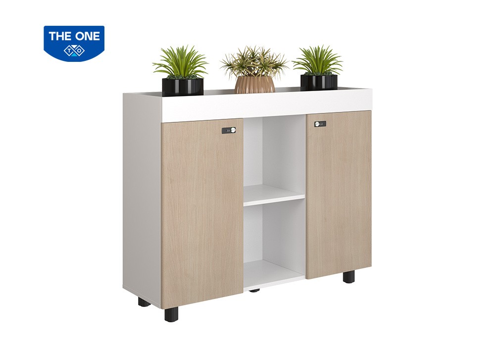 TỦ TÀI LIỆU NTV THE ONE 
NTV1000-3T2