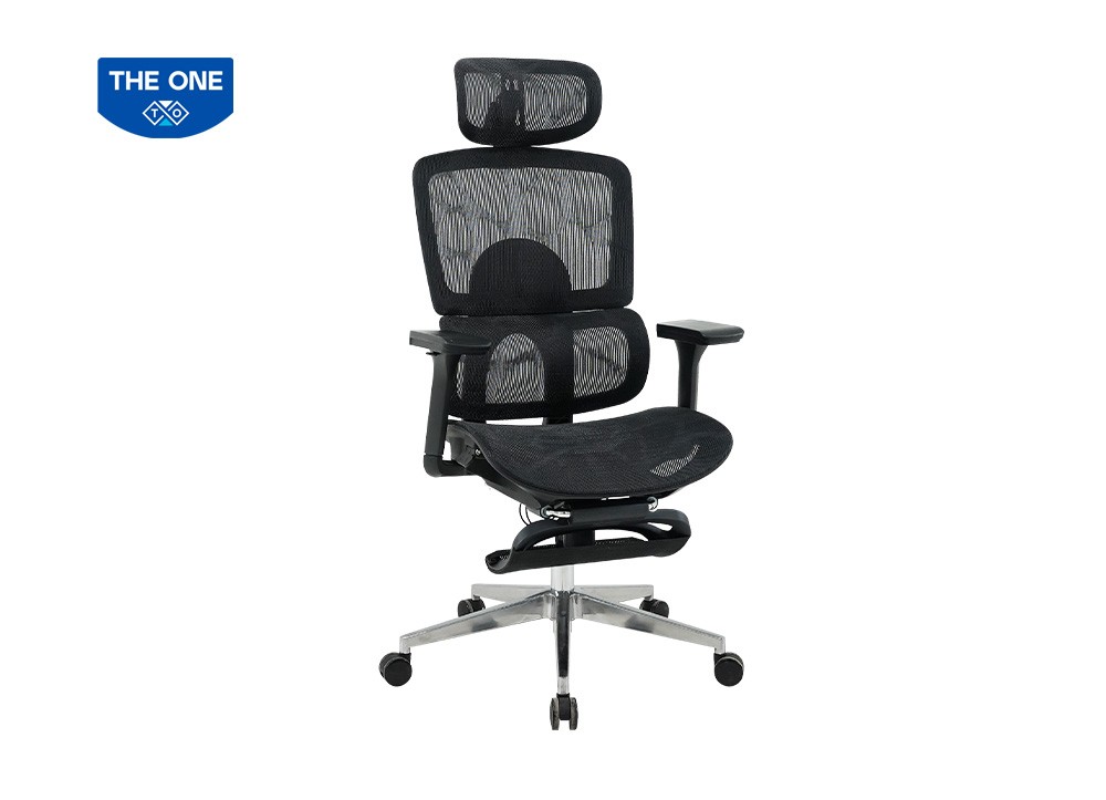 GHẾ CÔNG THÁI HỌC THE ONE 
GLE21