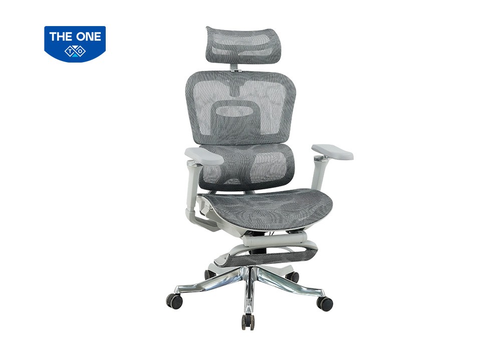 GHẾ CÔNG THÁI HỌC THE ONE 
GLE22