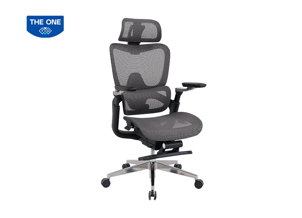 GHẾ LƯỚI CÔNG THÁI HỌC THE ONE 
GLE24