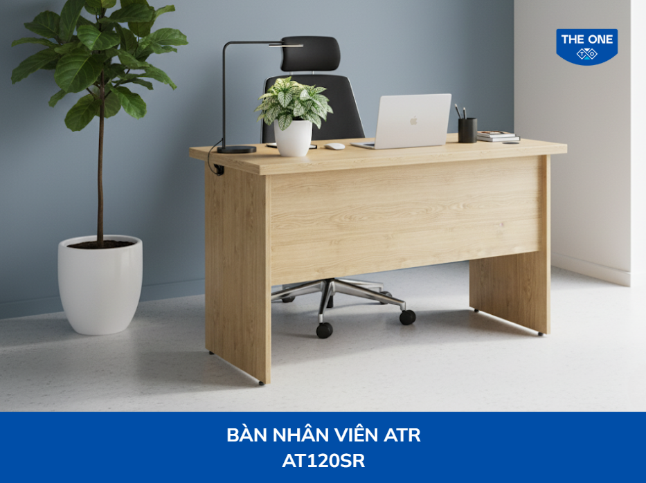 Cây cẩm nhung trắng đặt trên bàn làm việc giúp cân bằng năng lượng, tạo cảm giác tươi mới và thu hút may mắn trong công việc.