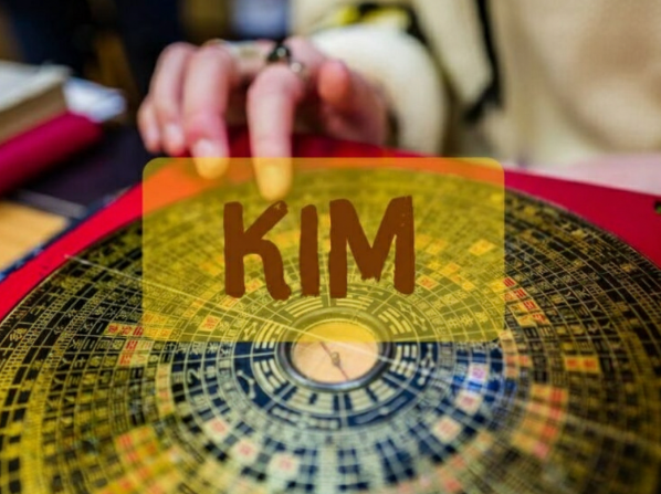 Người mệnh Kim nên chọn cây cảnh hợp phong thủy để thu hút may mắn và cân bằng năng lượng.