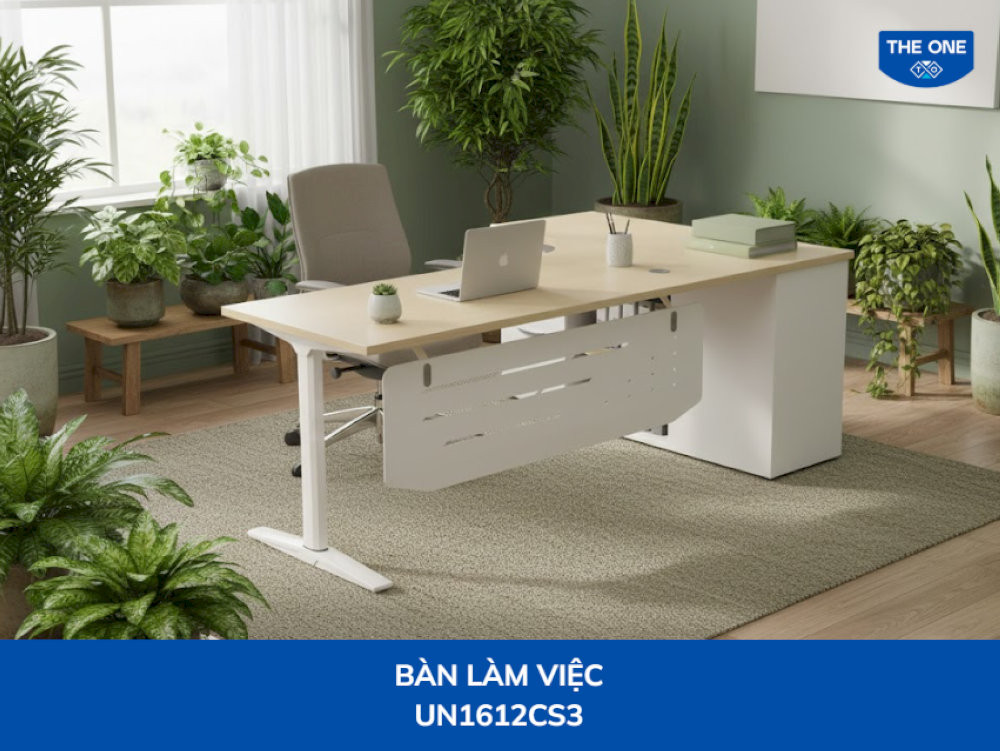 Phong thủy văn phòng theo tuổi: Chọn hướng, màu sắc, vật phẩm chuẩn