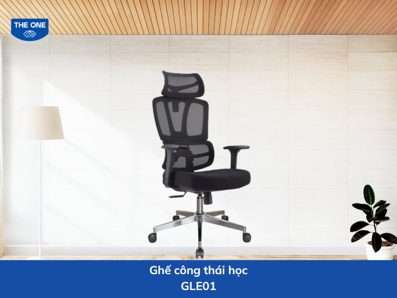 Ghế công thái học kích thước: W660 x D640-900 x H1220-1370 mm - Màu sắc: Đen