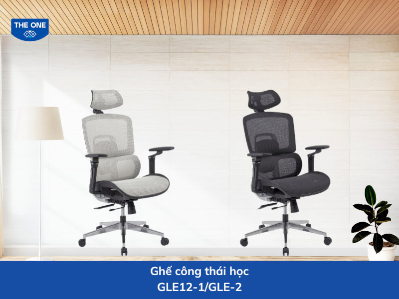 Ghế công thái học kích thước: W670 x D710-1120 x H1175-1275 mm - Màu sắc: Ghi (GLE12-1), đen (GLE12-2)