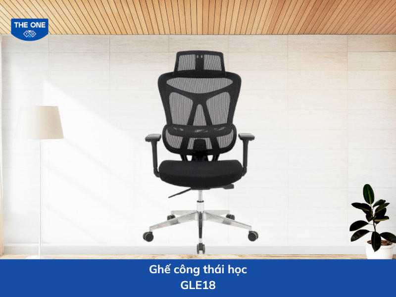 Ghế công thái học kích thước: W680 x D630-930 x H1130-1255 mm - Màu sắc: Đen