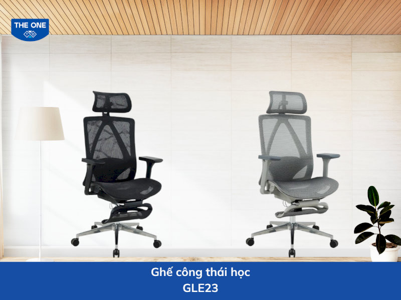 Ghế công thái học kích thước: W630 x D575-1295 x H1180-1240 mm - Màu sắc: Đen, ghi