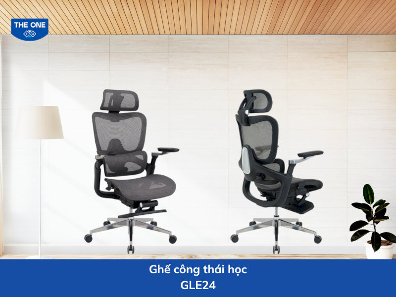 Ghế công thái học kích thước: W630 x D665-1310 x H1175-1300 (mm) - Màu sắc: Đen, ghi