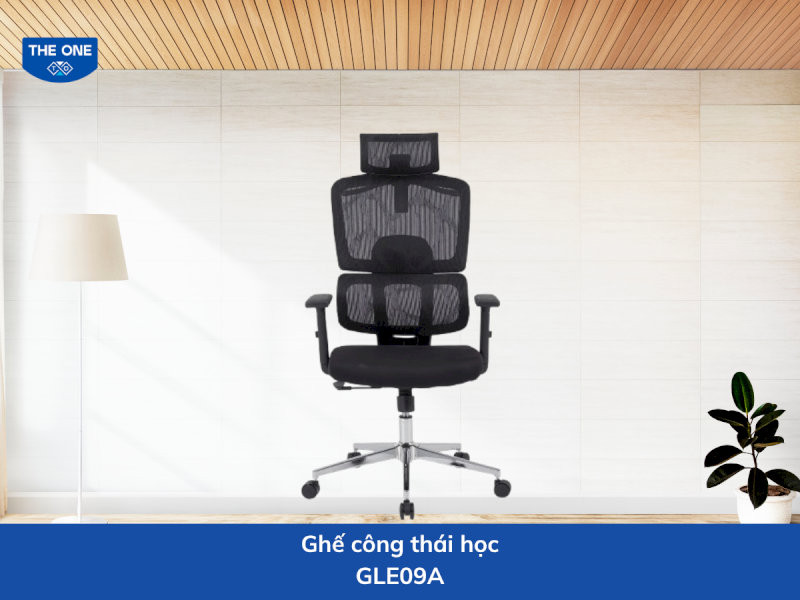 Ghế công thái học kích thước: W660 x D670 x H1200-1350 mm - Màu sắc: Đen