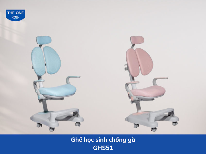 Ghế học sinh kích thước: W600 x D770 x H890 - 1245 mm - Màu sắc: Xanh dương, hồng